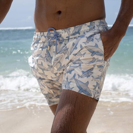 Men Swim trunks | Hiu and me | Cloud White