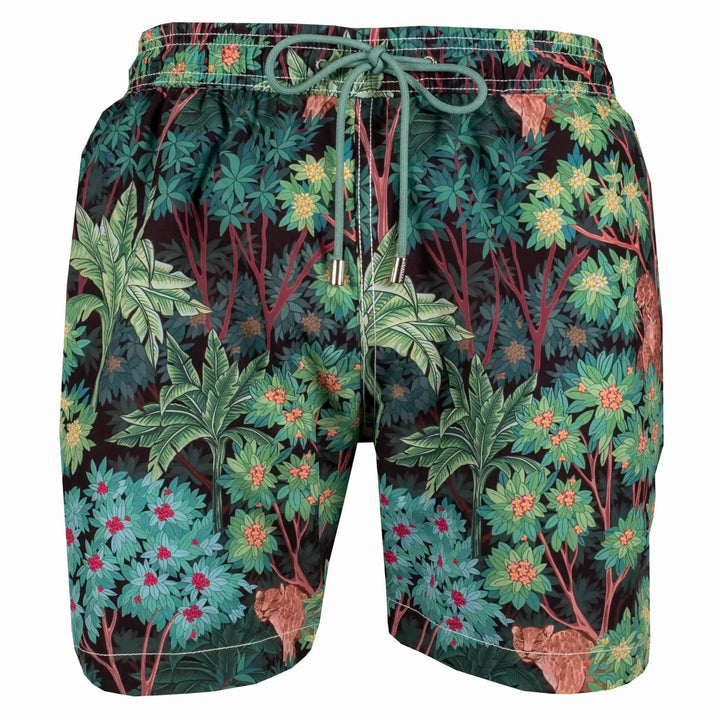 Men Swim trunks | Wild places | Black